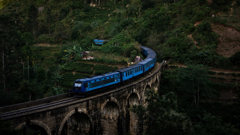 aerial photography of blue train