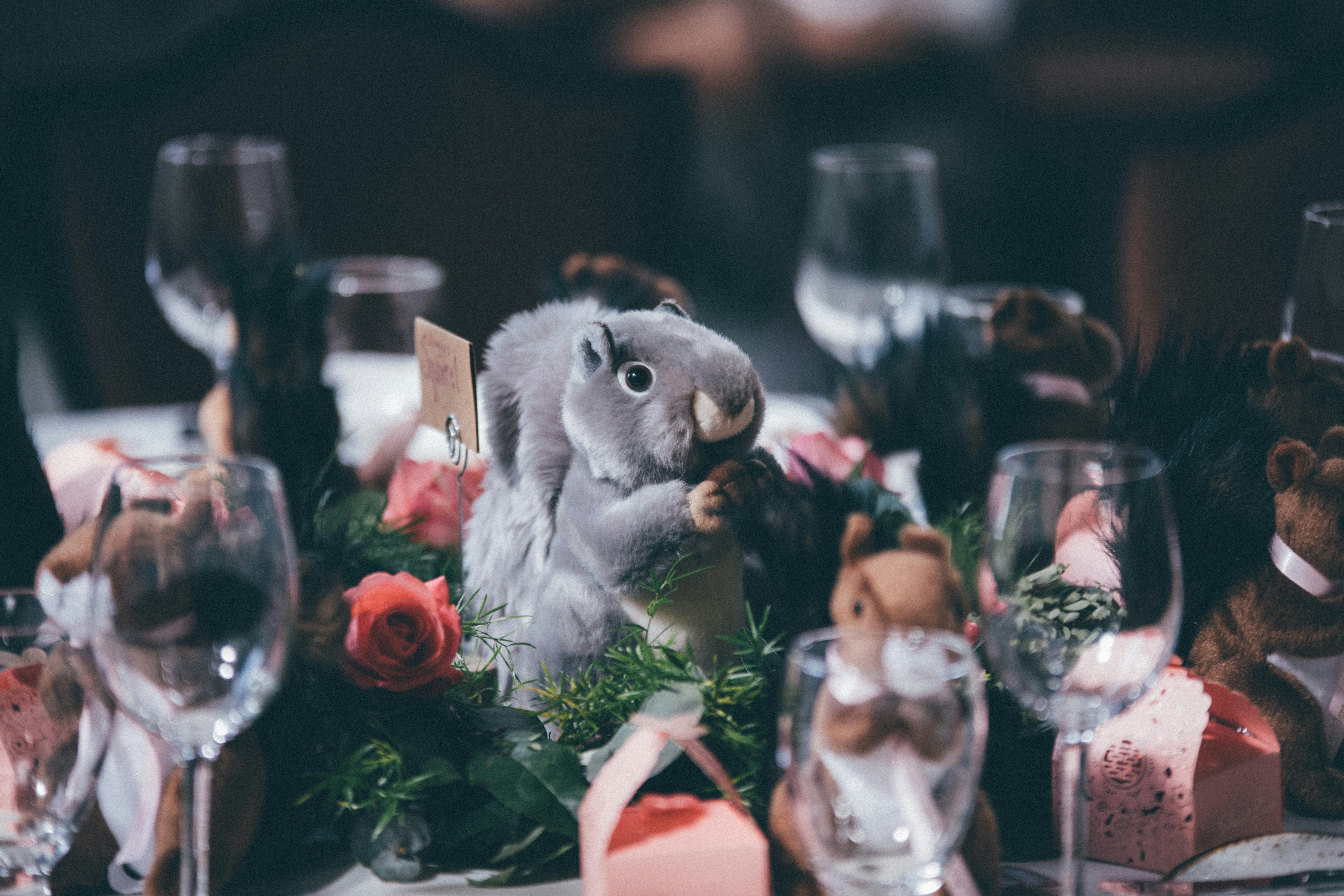 selective focus photography of squirrel toy surrounded by wine glasses