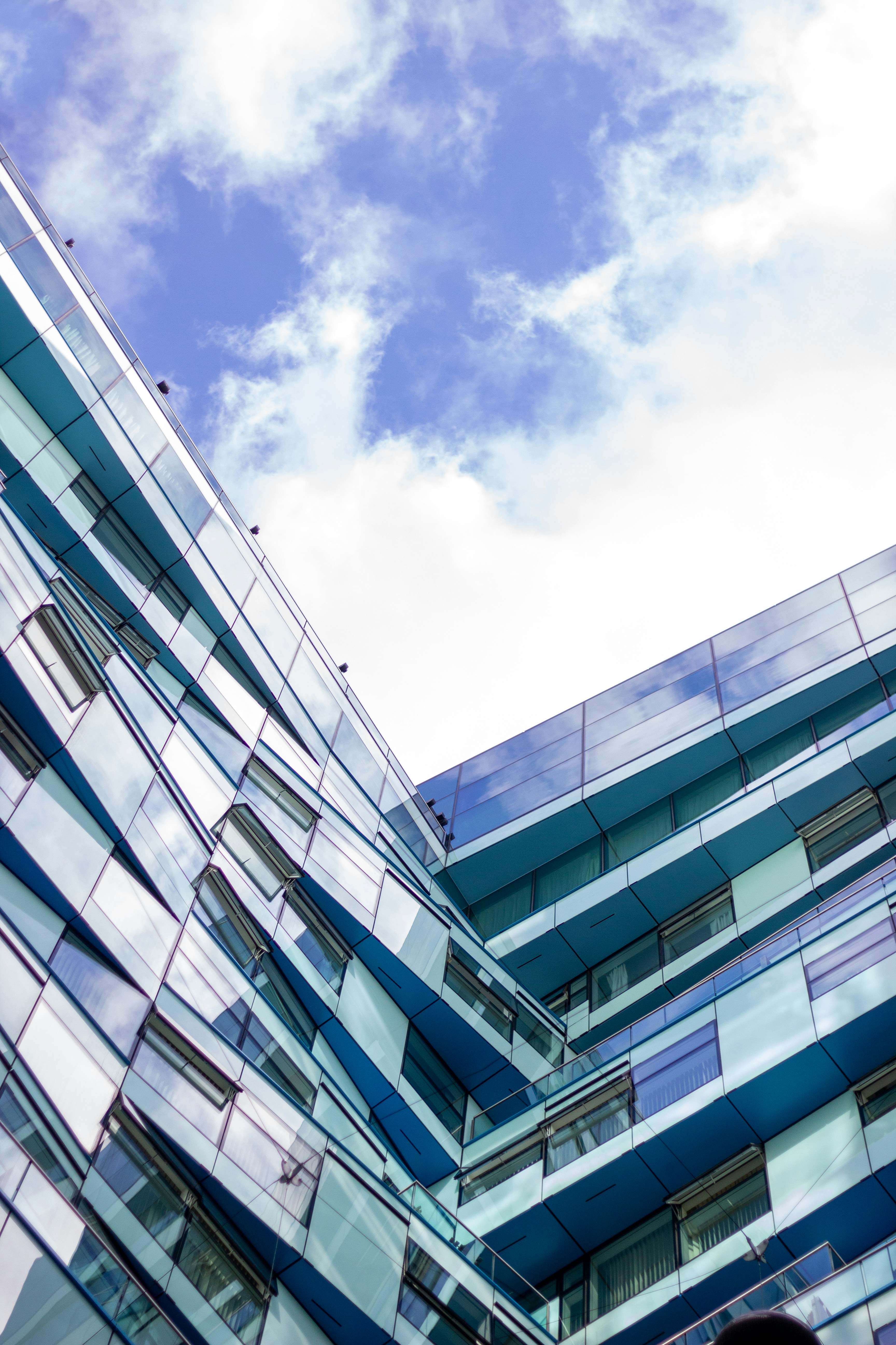 Photo by connorpopephotos