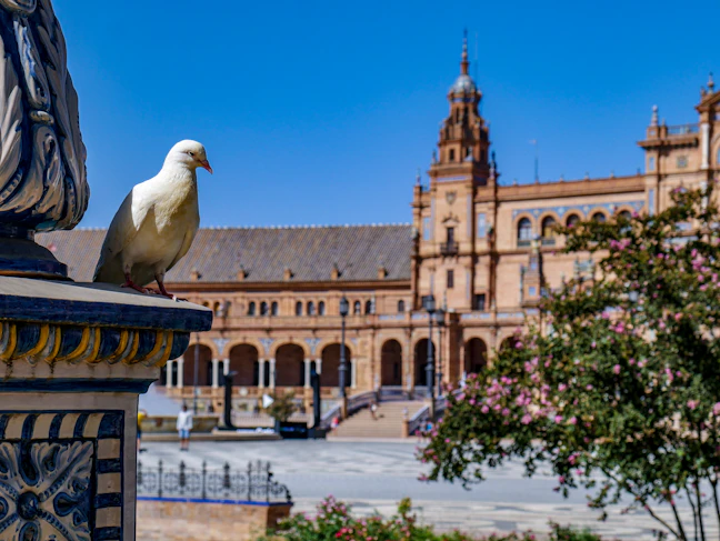 5-Day Seville Budget Itinerary: Travel Spain for $32/Day