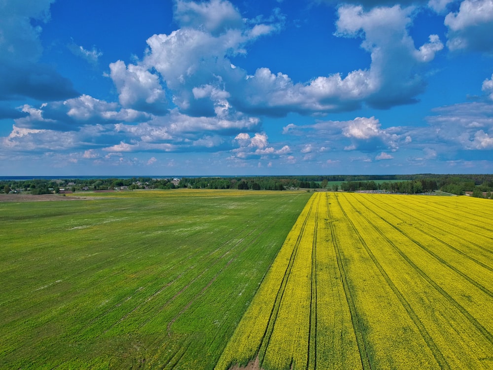 a large field of green grass under a cloudy blue sky