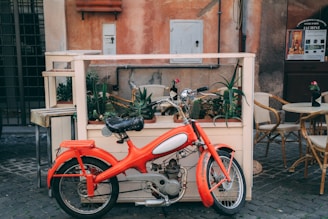 red bike beside terrarium