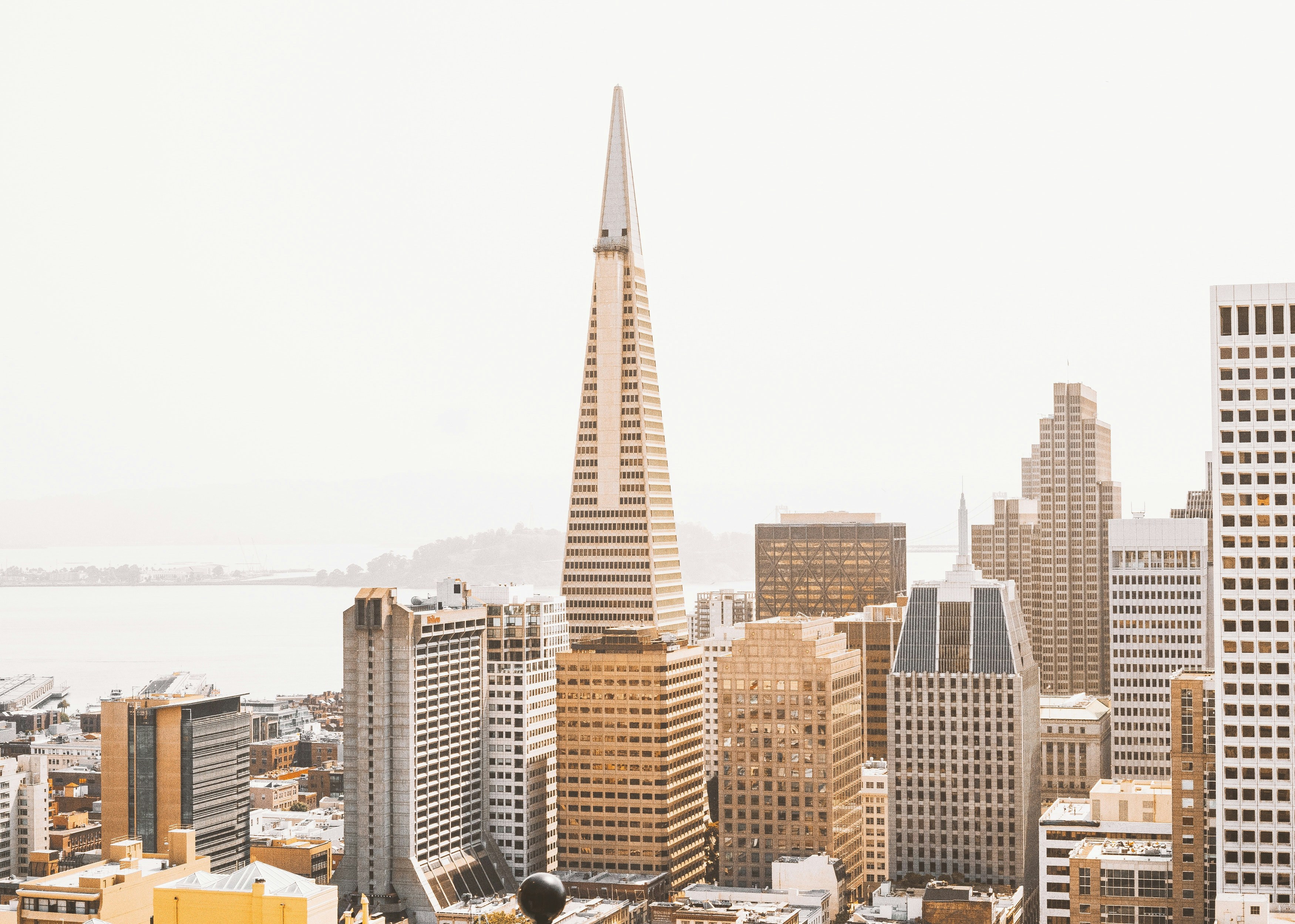 Photo by ajeetjogi158