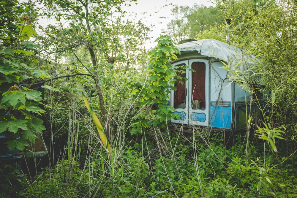 a blue train car sitting in the middle of a forest