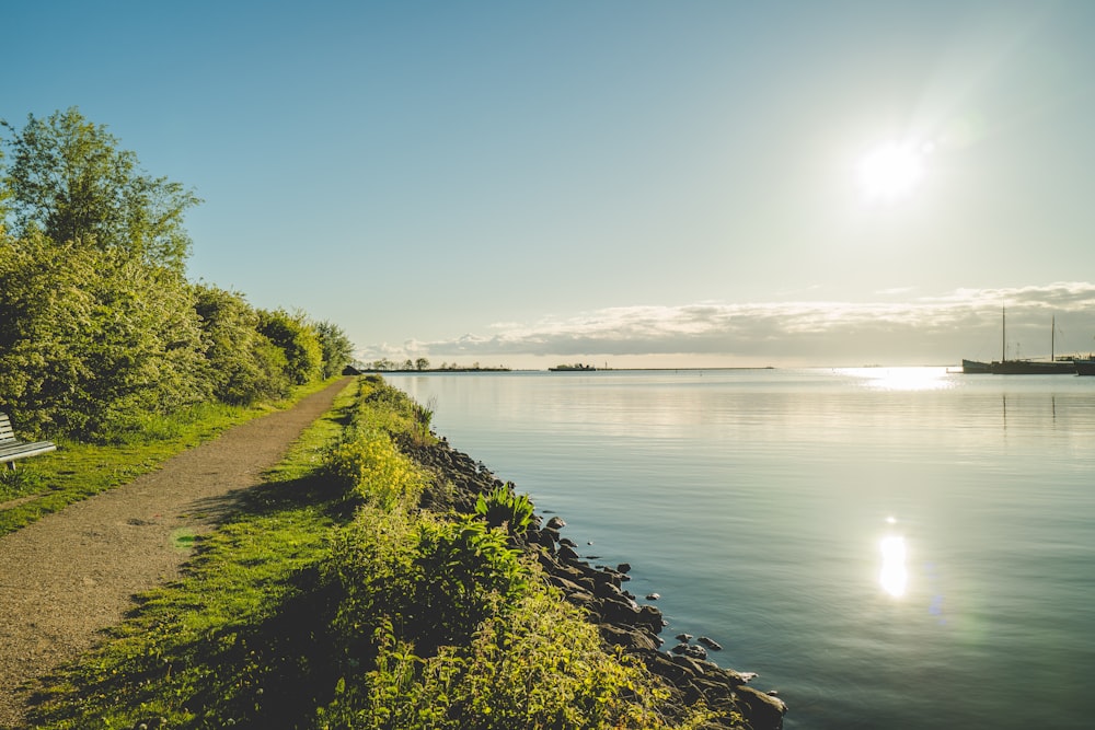 green grass pathway and lake scenery