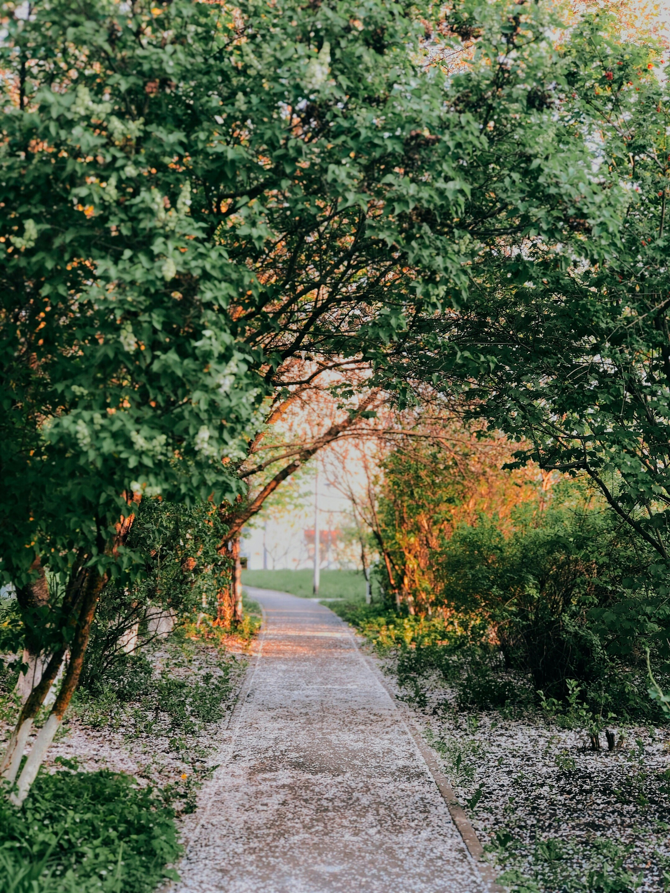 Photo by marybertova