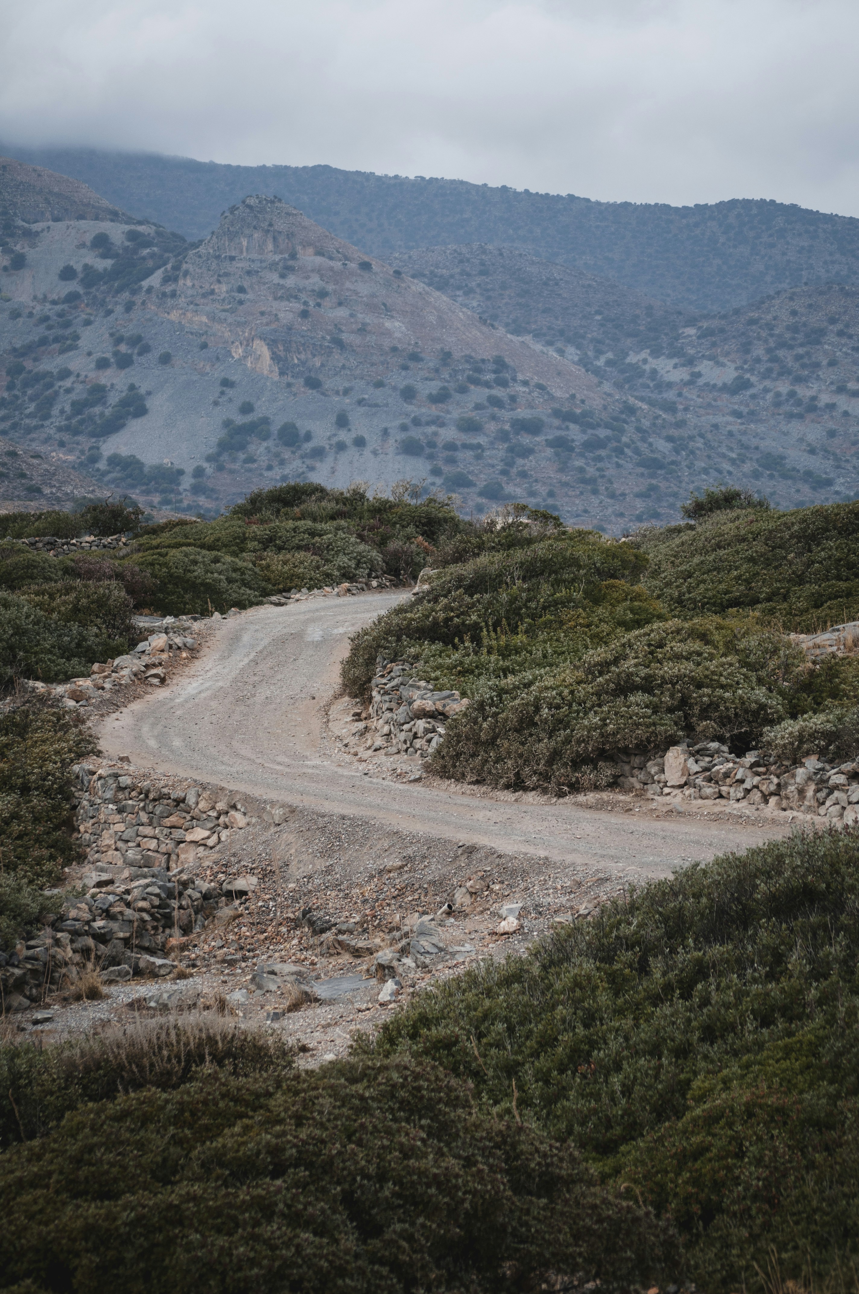 Photo by yuli_superson