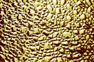 Detail shot of epoxy resin with embedded textures contrasting glossy and matte.