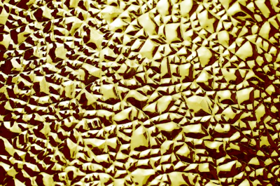 Close-up grayscale texture resembling fractured glass, symbolizing forensic scrutiny.