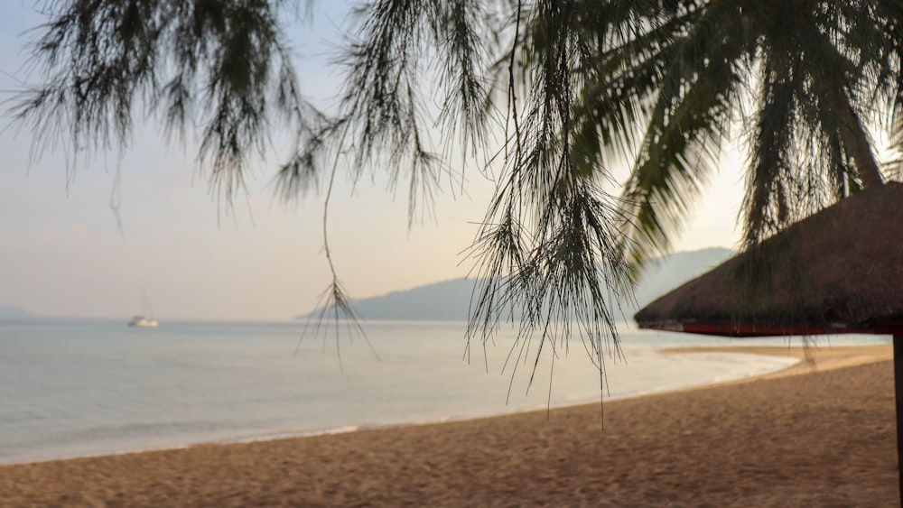 seashore scenery