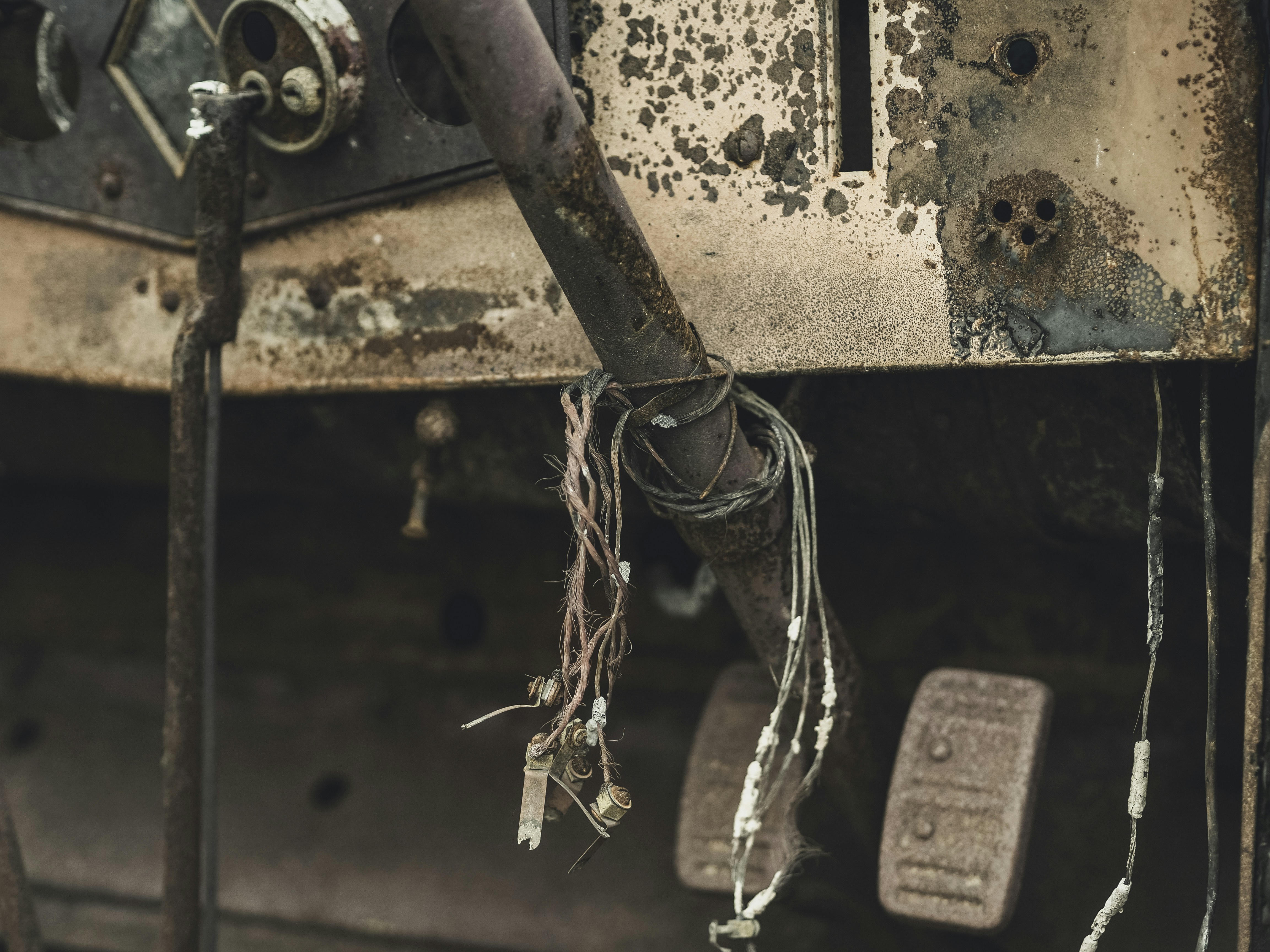 Photo by milandegraeve