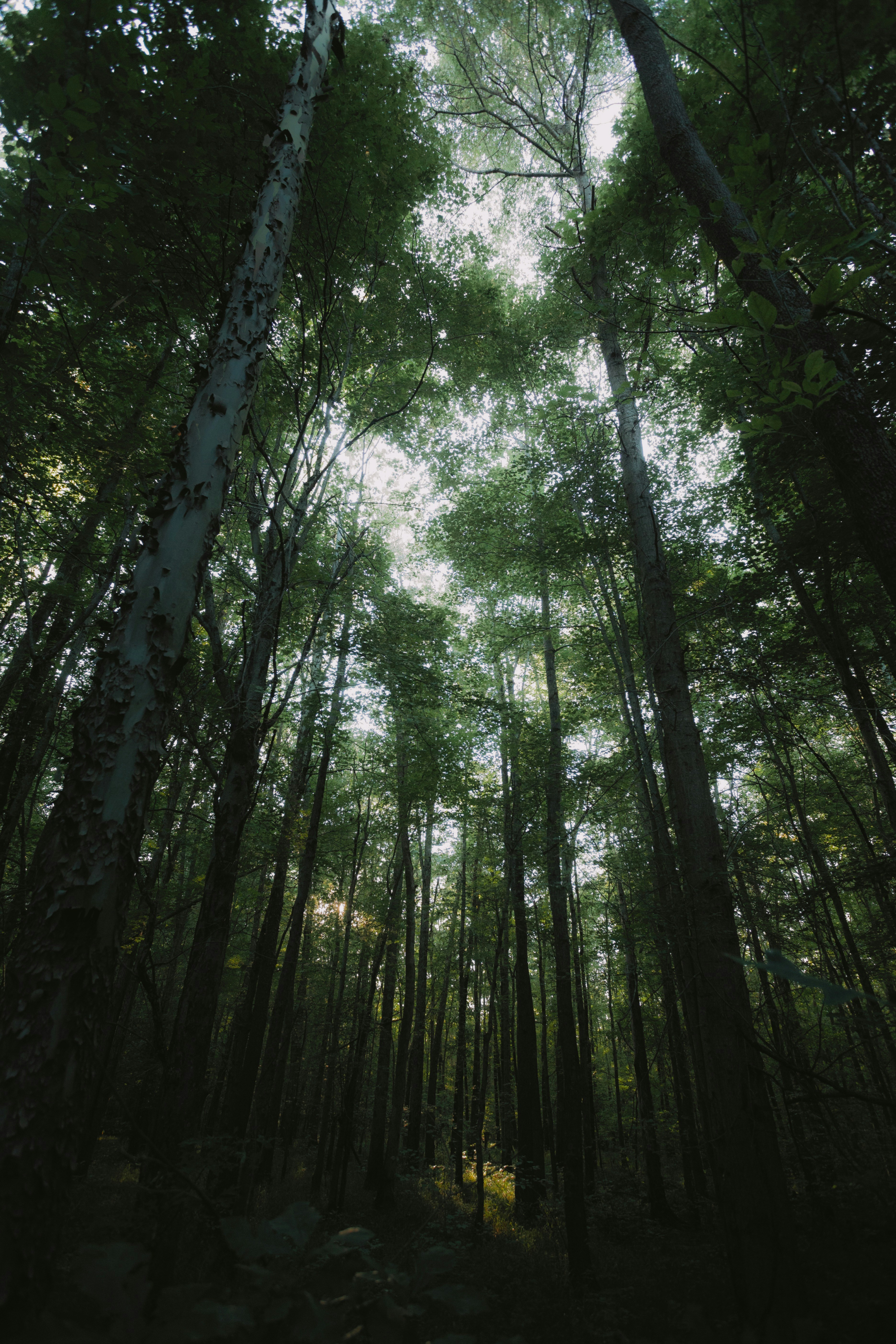 Photo by a_wrong_time_ago