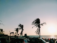 A joyful crowd dancing under palm trees at a sunset calypso beach party.
