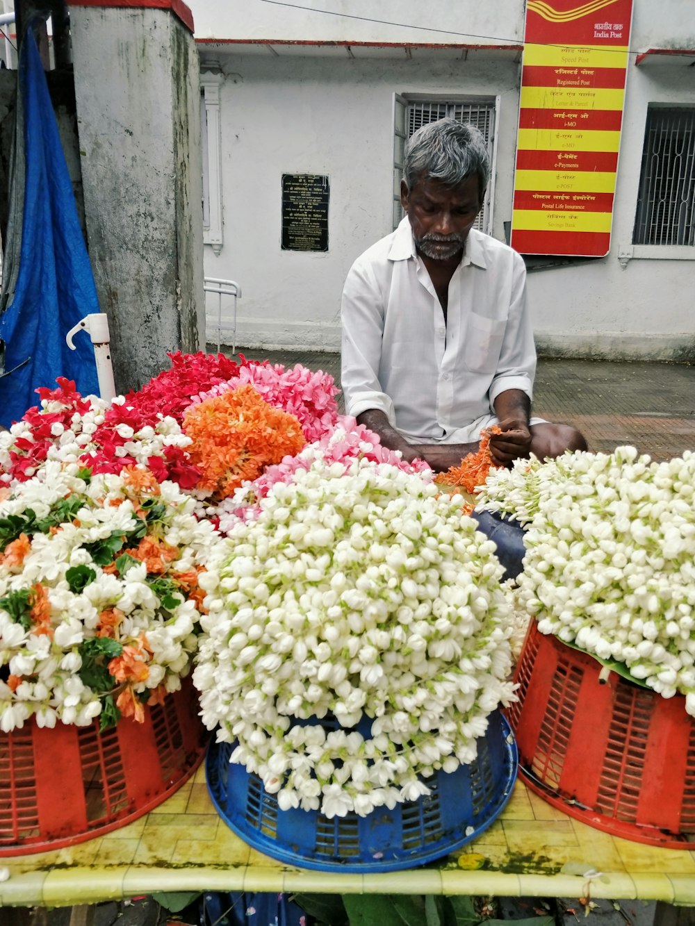 white petaled fower