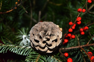 A rustic Christmas card with a close-up of pine cones and red berries dusted with snow.