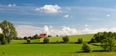 Vast green fields under a bright blue sky with scattered clouds. A red-roofed church building with a steeple sits on a gentle hill in the distance, surrounded by small trees and bushes. Bright sunlight illuminates the landscape, casting soft shadows on the grass.