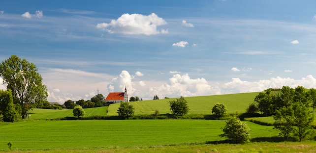 Vast green fields under a bright blue sky with scattered clouds. A red-roofed church building with a steeple sits on a gentle hill in the distance, surrounded by small trees and bushes. Bright sunlight illuminates the landscape, casting soft shadows on the grass.