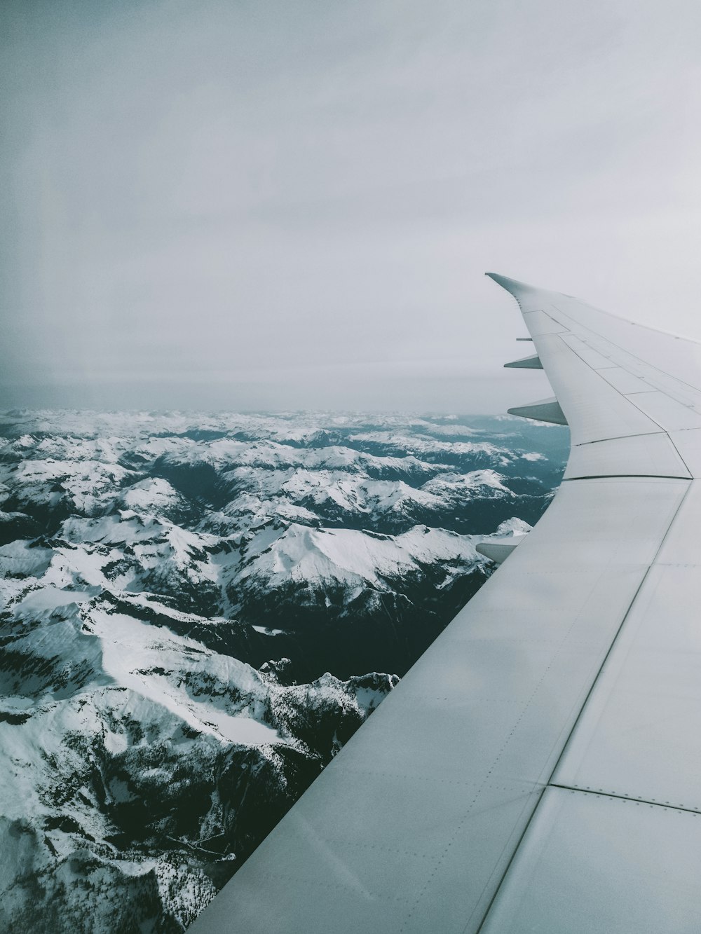 white airplane wing