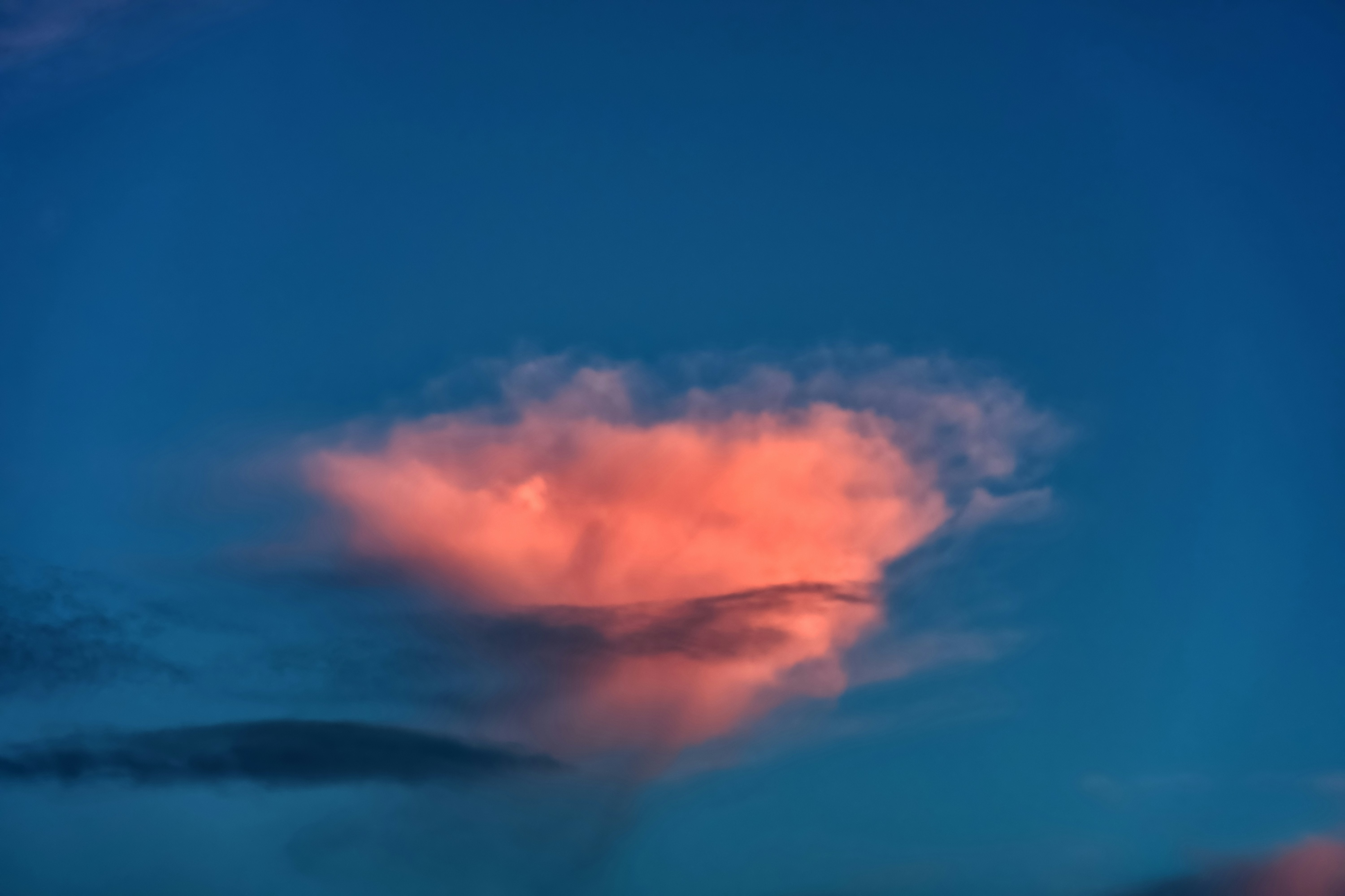 Photo by wolfgang_hasselmann