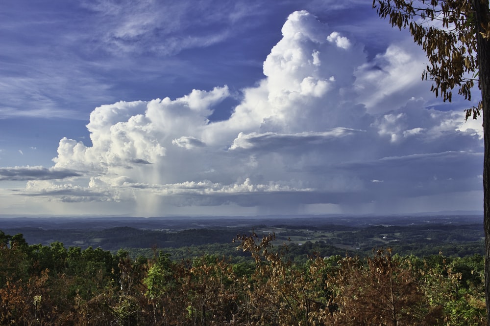 photo of white thick clouds