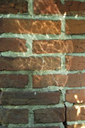 Close-up of a brick wall showing fine cracks under soft natural light.
