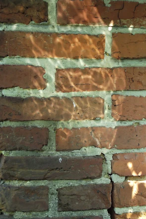 Close-up of a brick wall showing fine cracks under soft natural light.