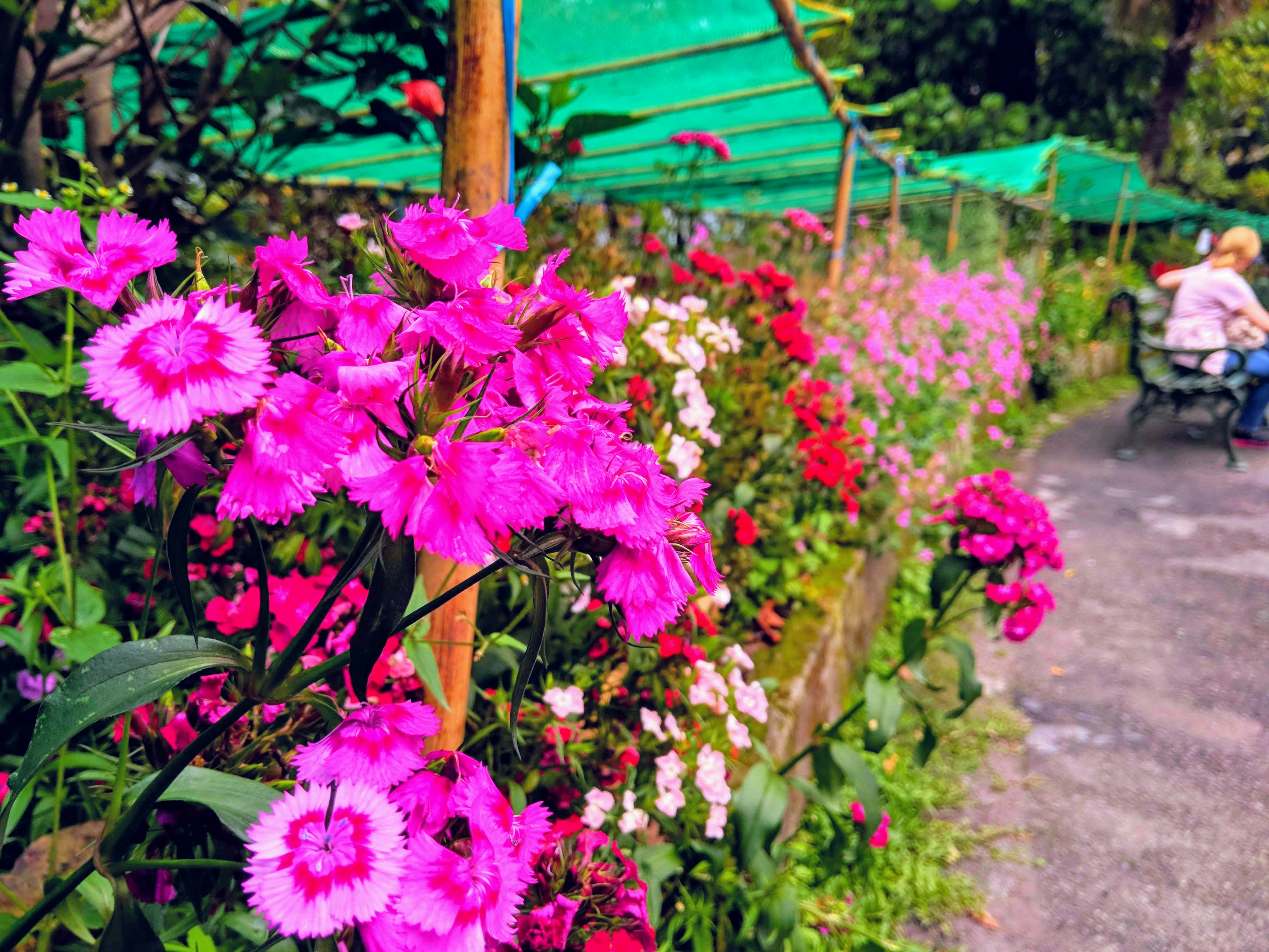 Photo by nightscape88