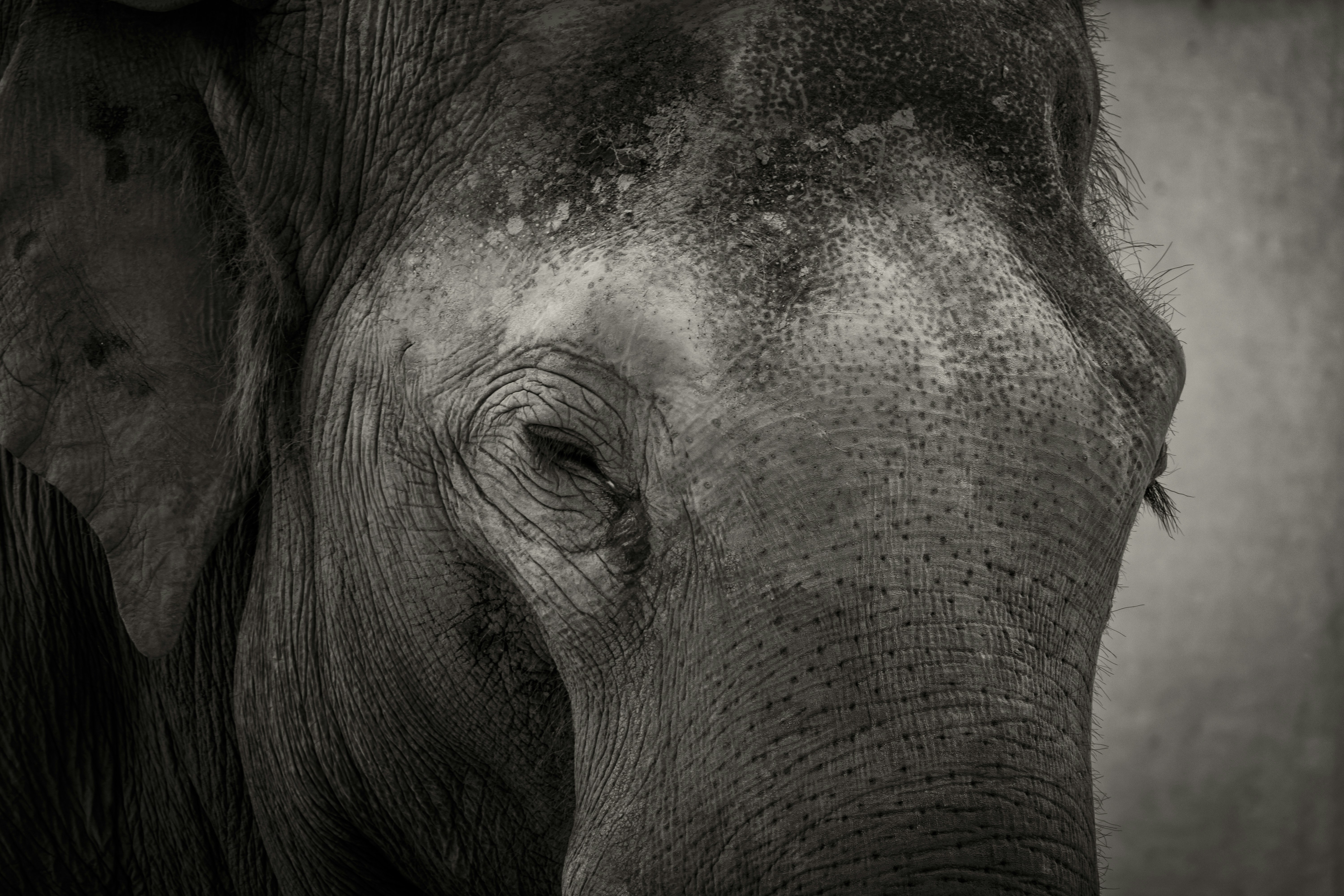 Photo by floriankrumm