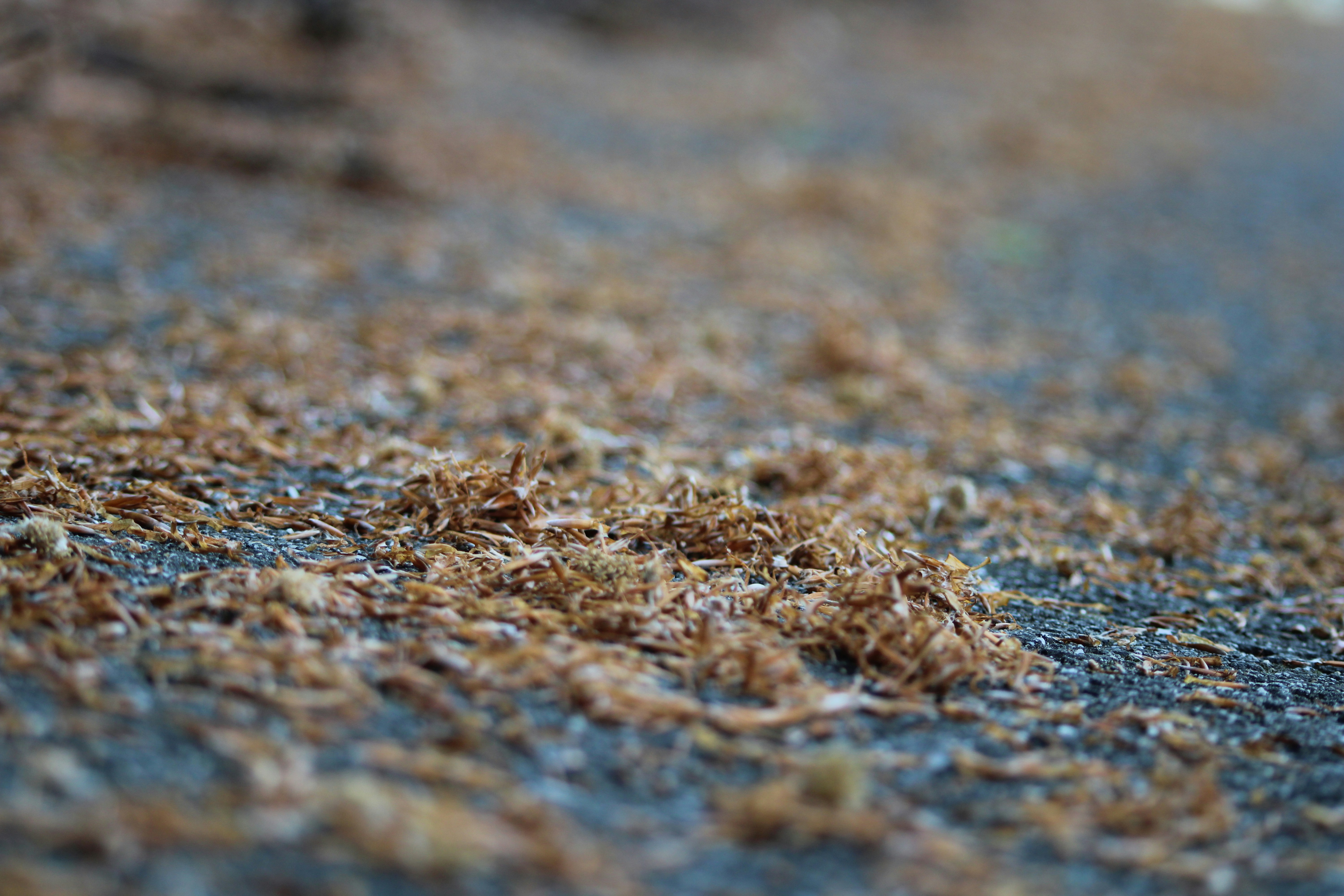 Photo by cippicippiphoto