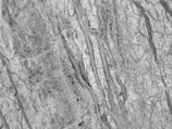 Textured surface with an intricate pattern of gray and white marble veining. The natural stone shows a detailed, organic flow of veins creating a complex and elegant appearance.
