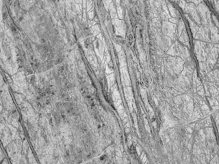 Textured surface with an intricate pattern of gray and white marble veining. The natural stone shows a detailed, organic flow of veins creating a complex and elegant appearance.