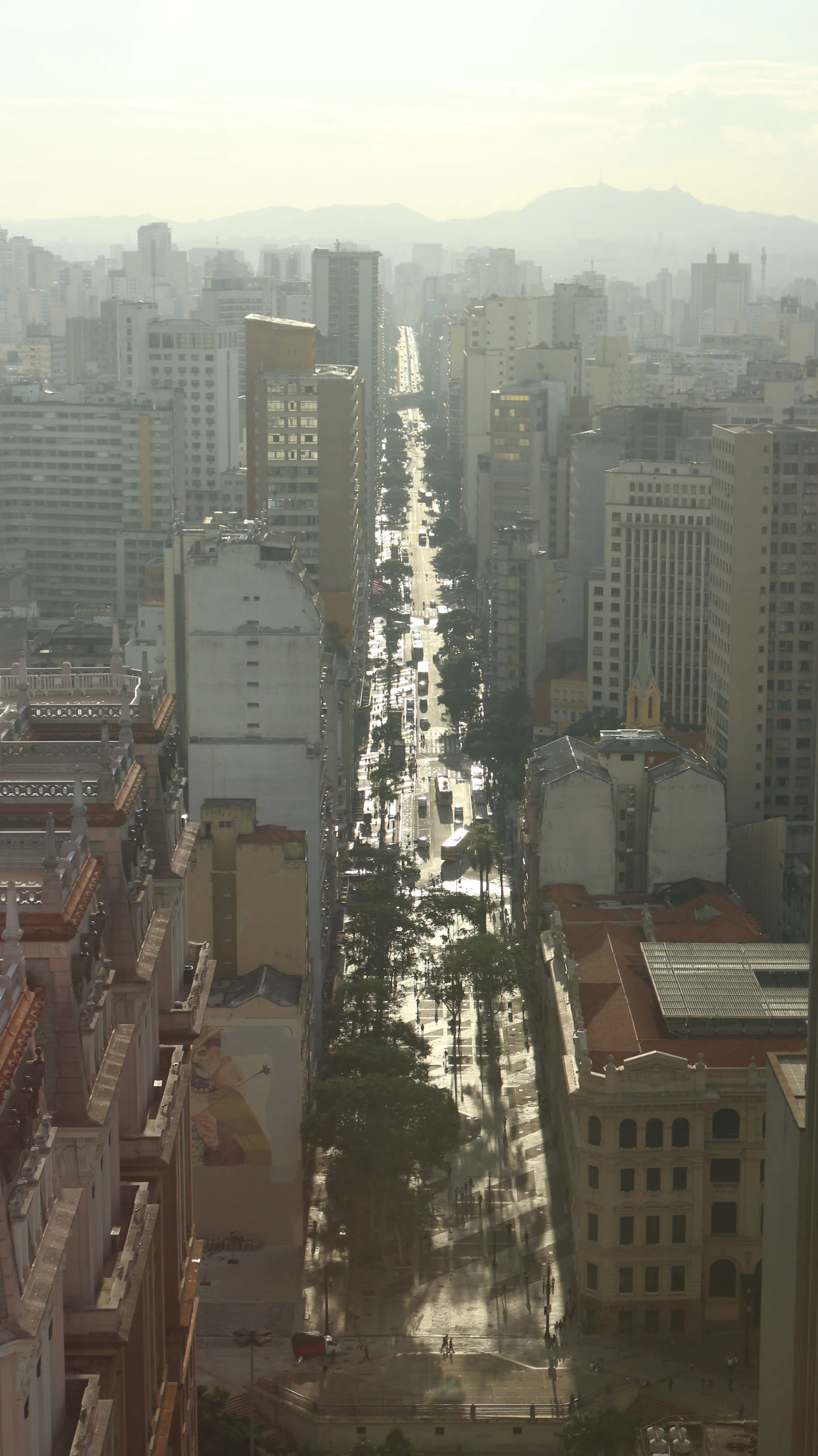 Veículos em avenida cercada por edifícios