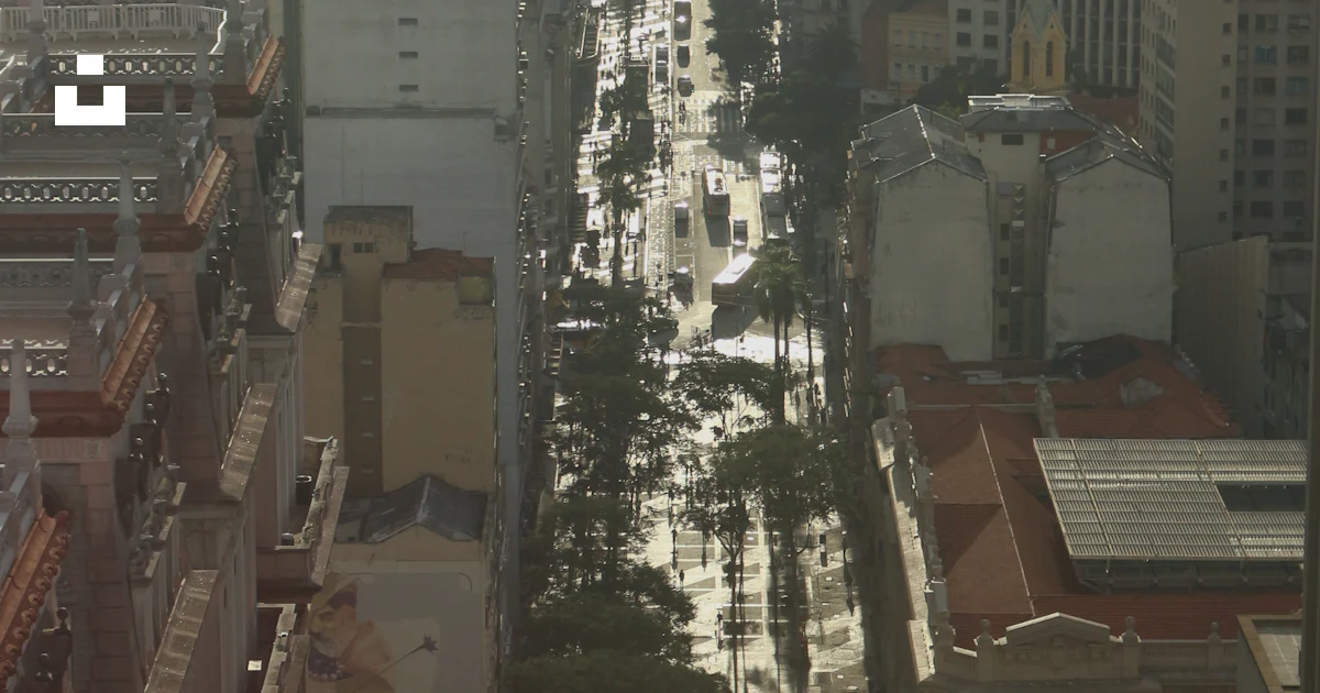 Different vehicles on road near high-rise buildings photo – Free ...