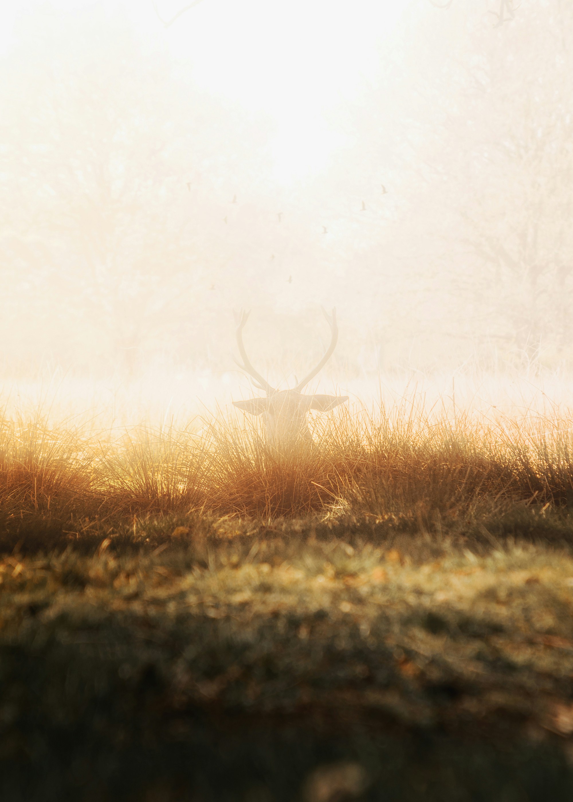 Beautiful Pictures Of The Week Unsplash