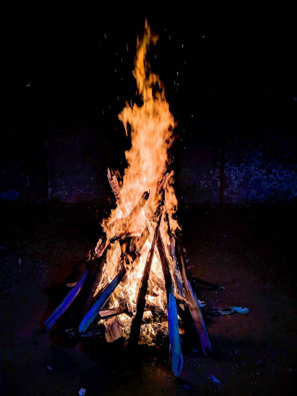 selective focus photography of bornfire