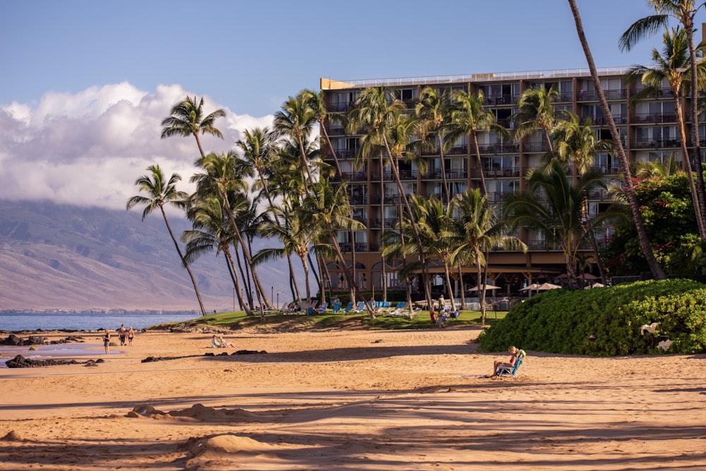 palm trees outside building