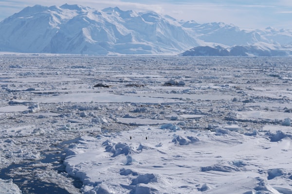 South Shetland Islands, Antarctica