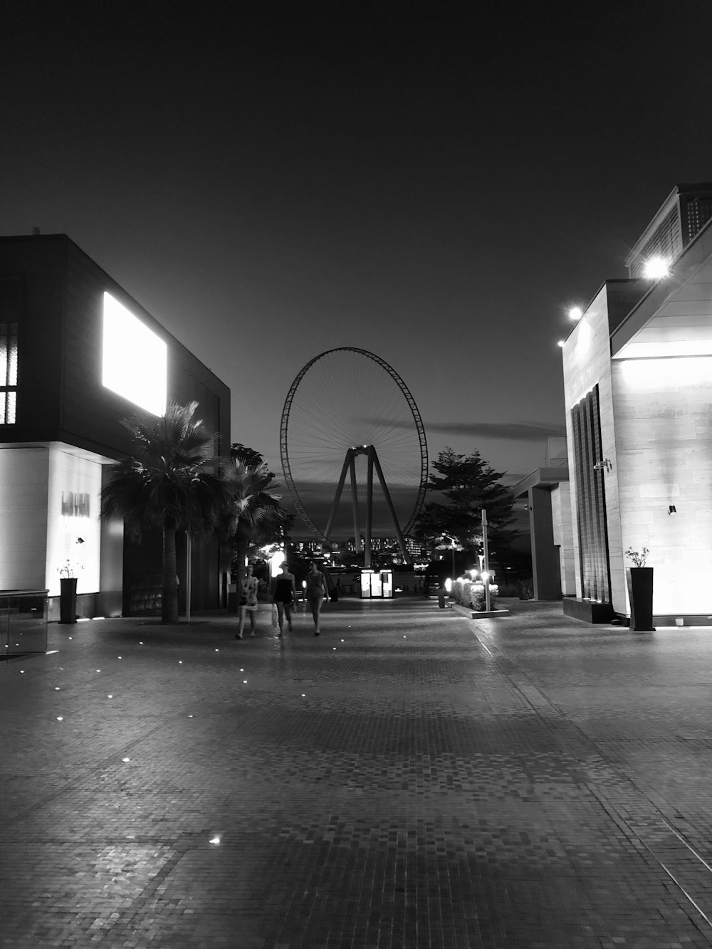 grayscale photo of a ferris wheel