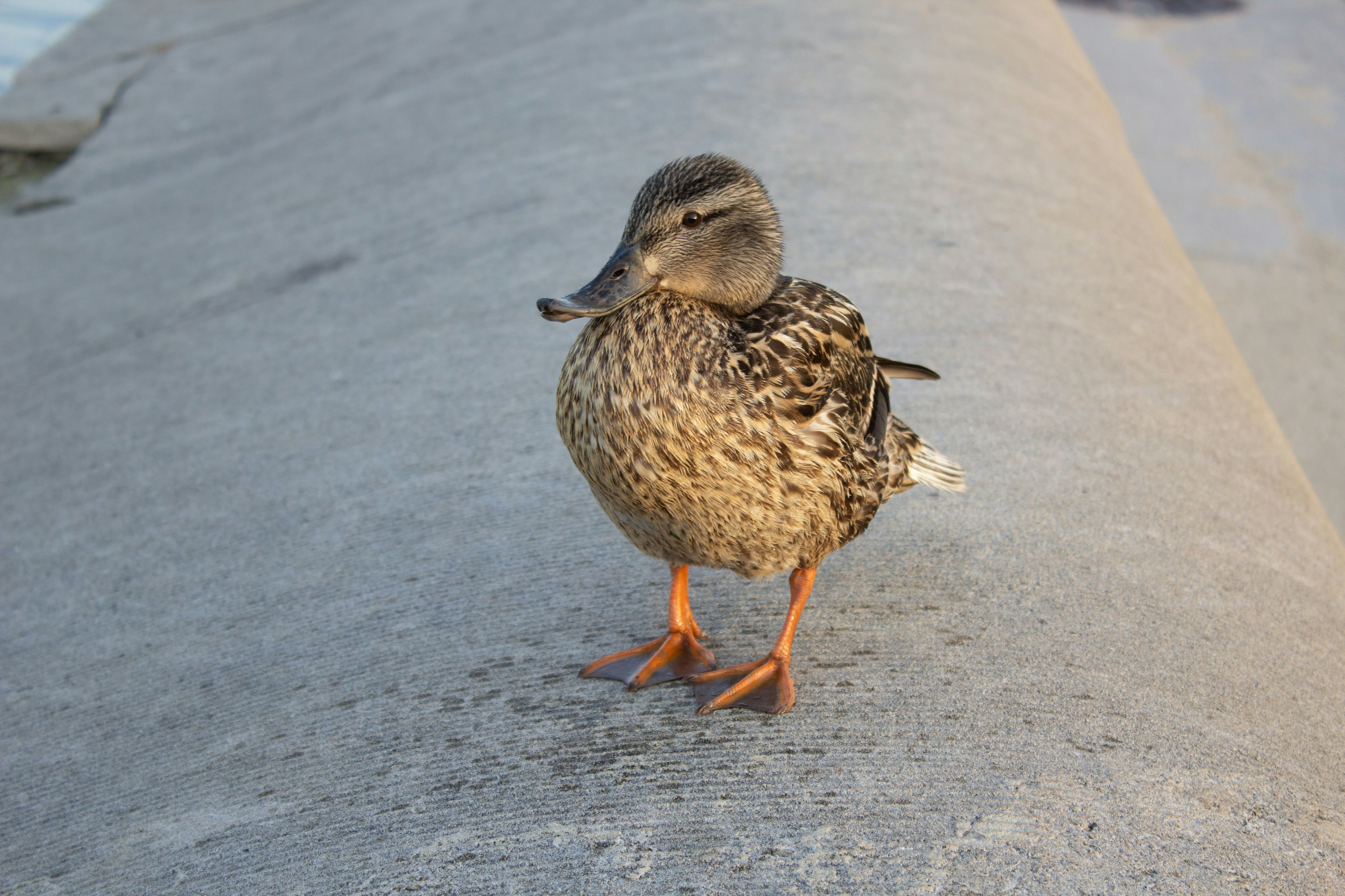 Photo by wisconsinpictures