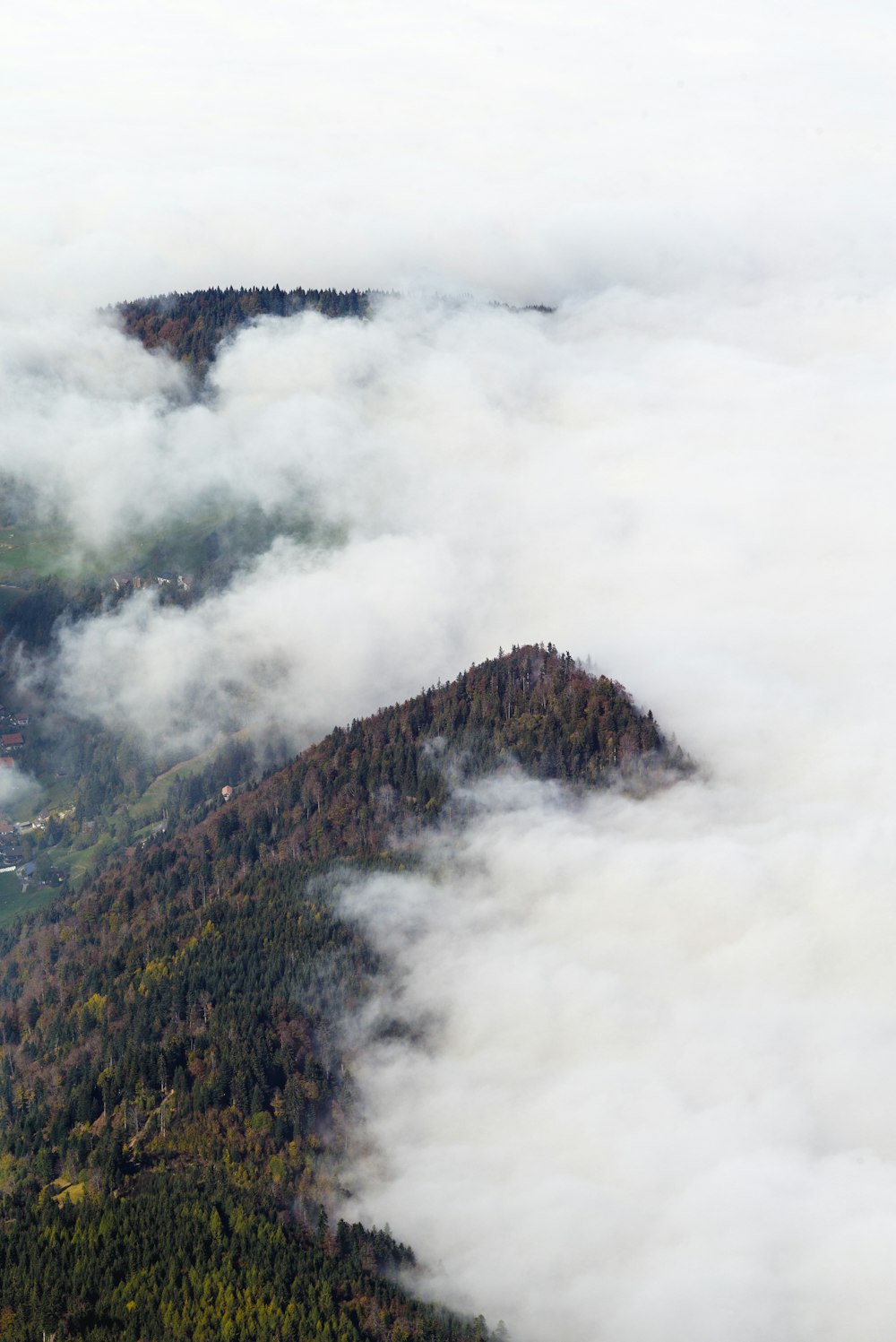 山の霧の風景