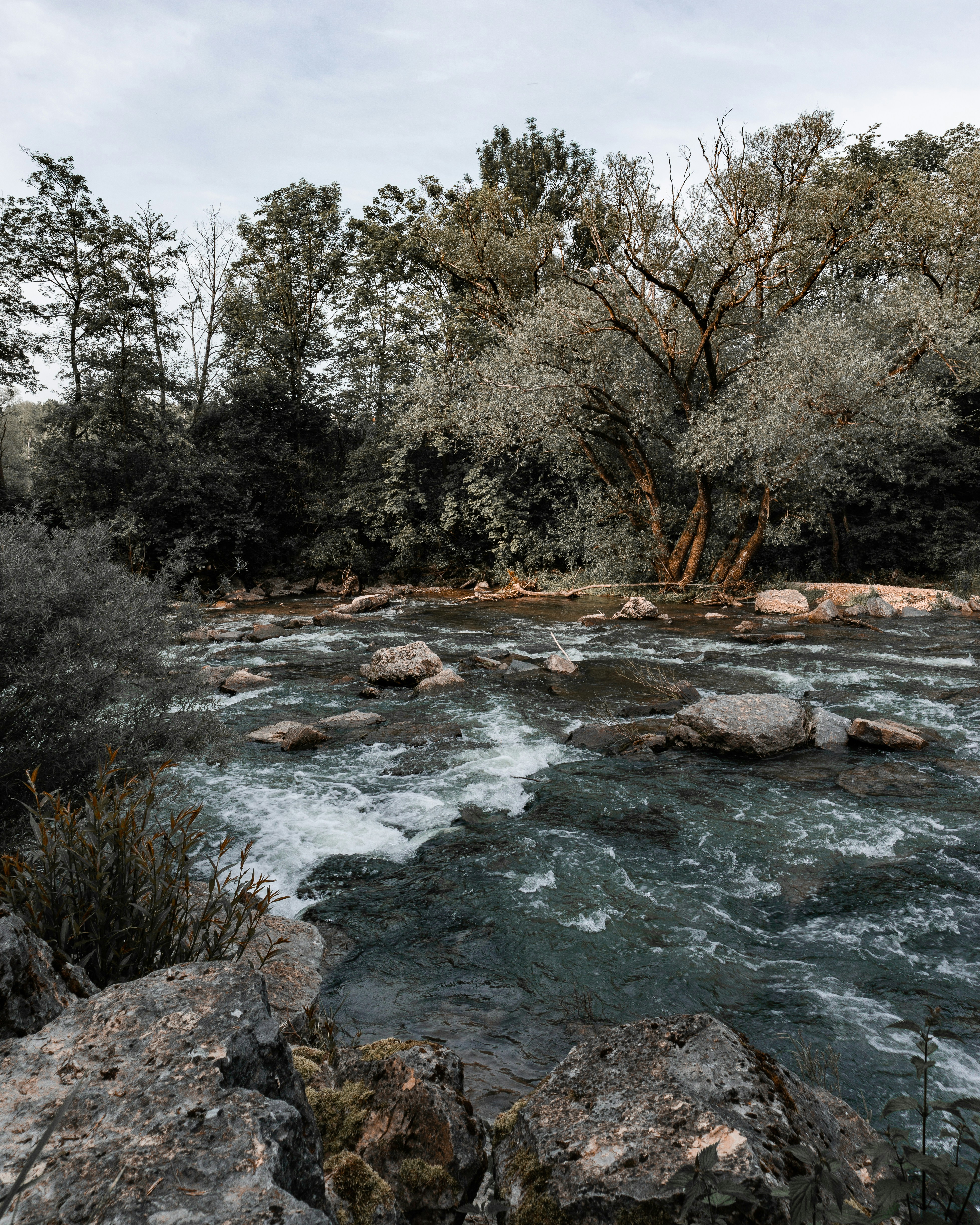 Photo by justusmenke