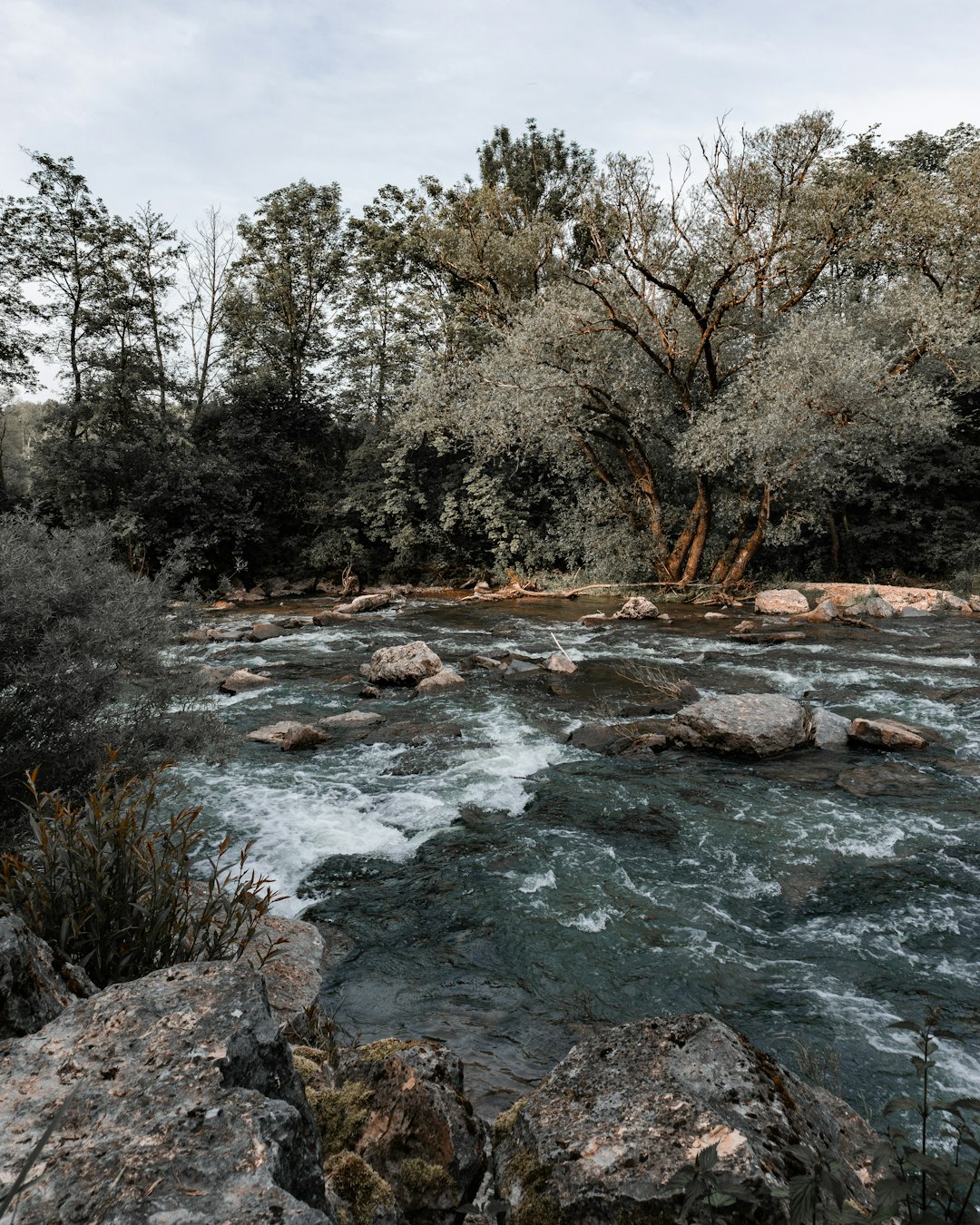 view of water during daytime