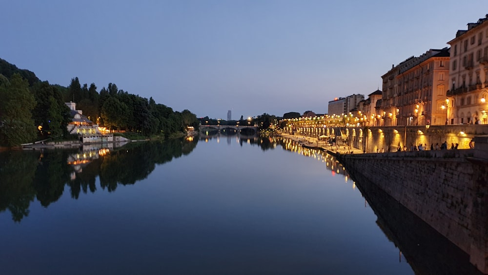 brown bridge beside body of water