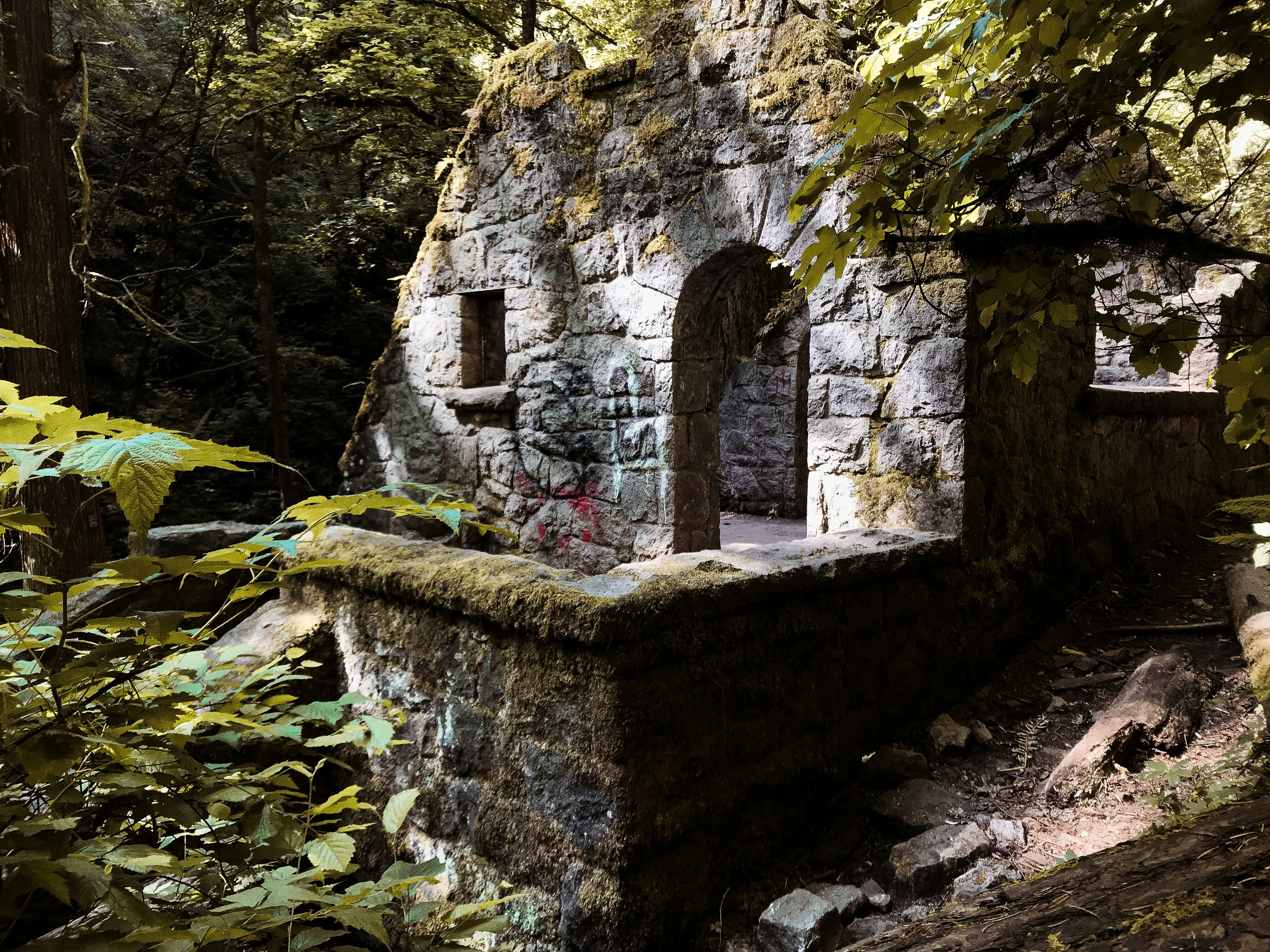 stone building covered with moss