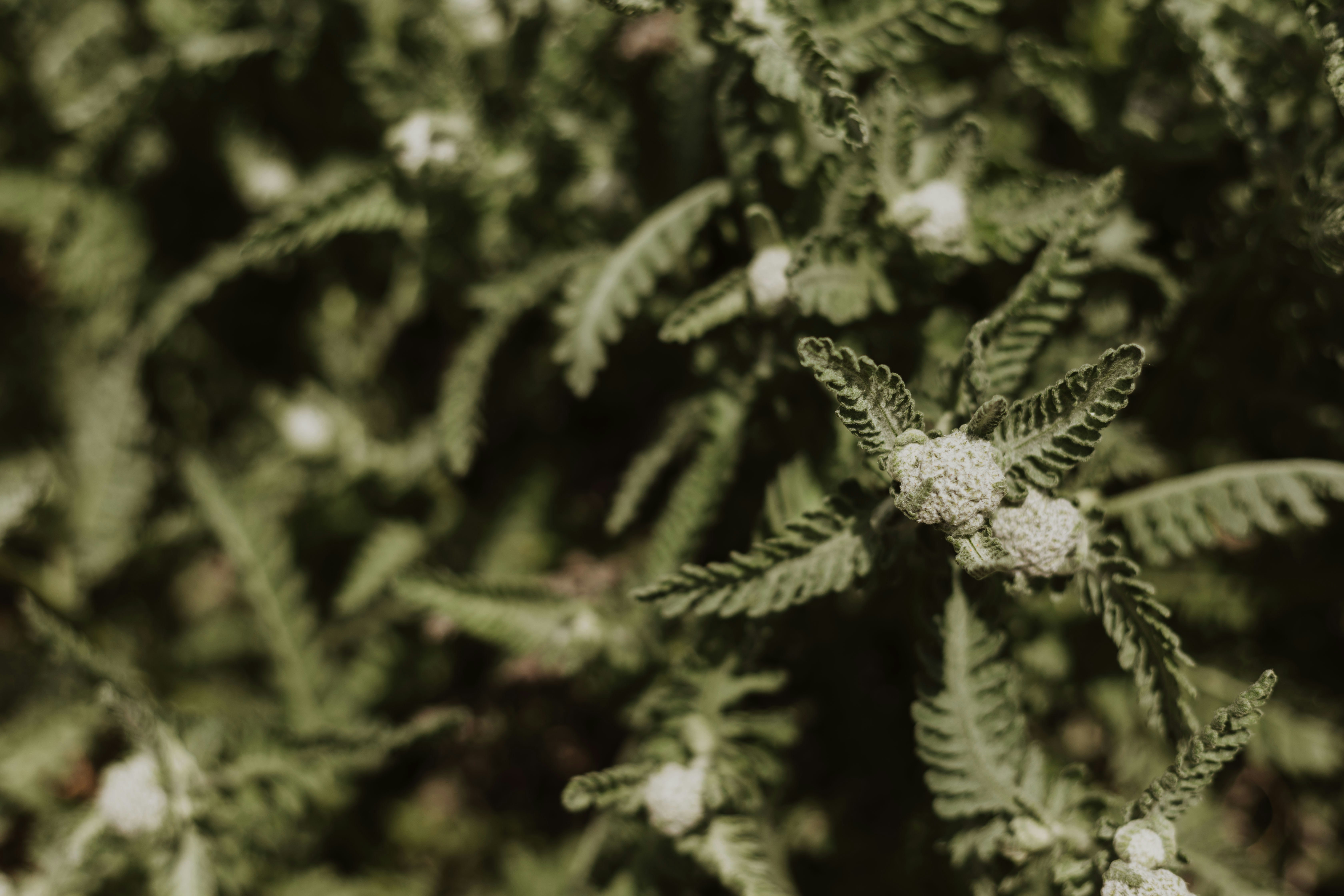 Photo by katelynnicolephoto