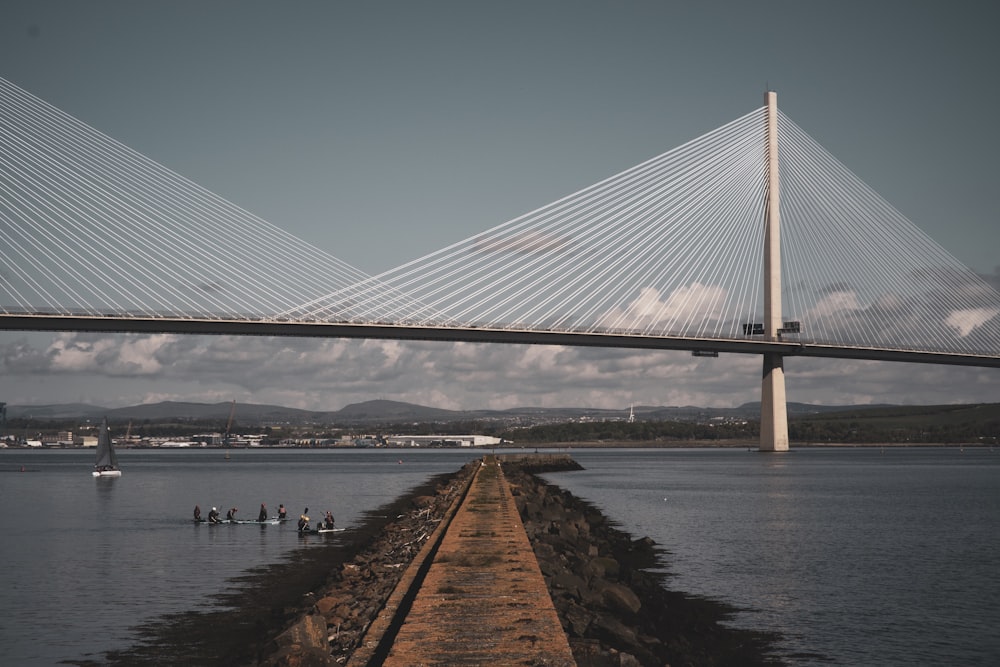 pathway near bridge at daytime