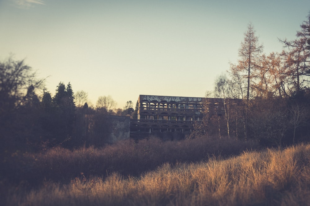 abandoned building near trees and grass during day