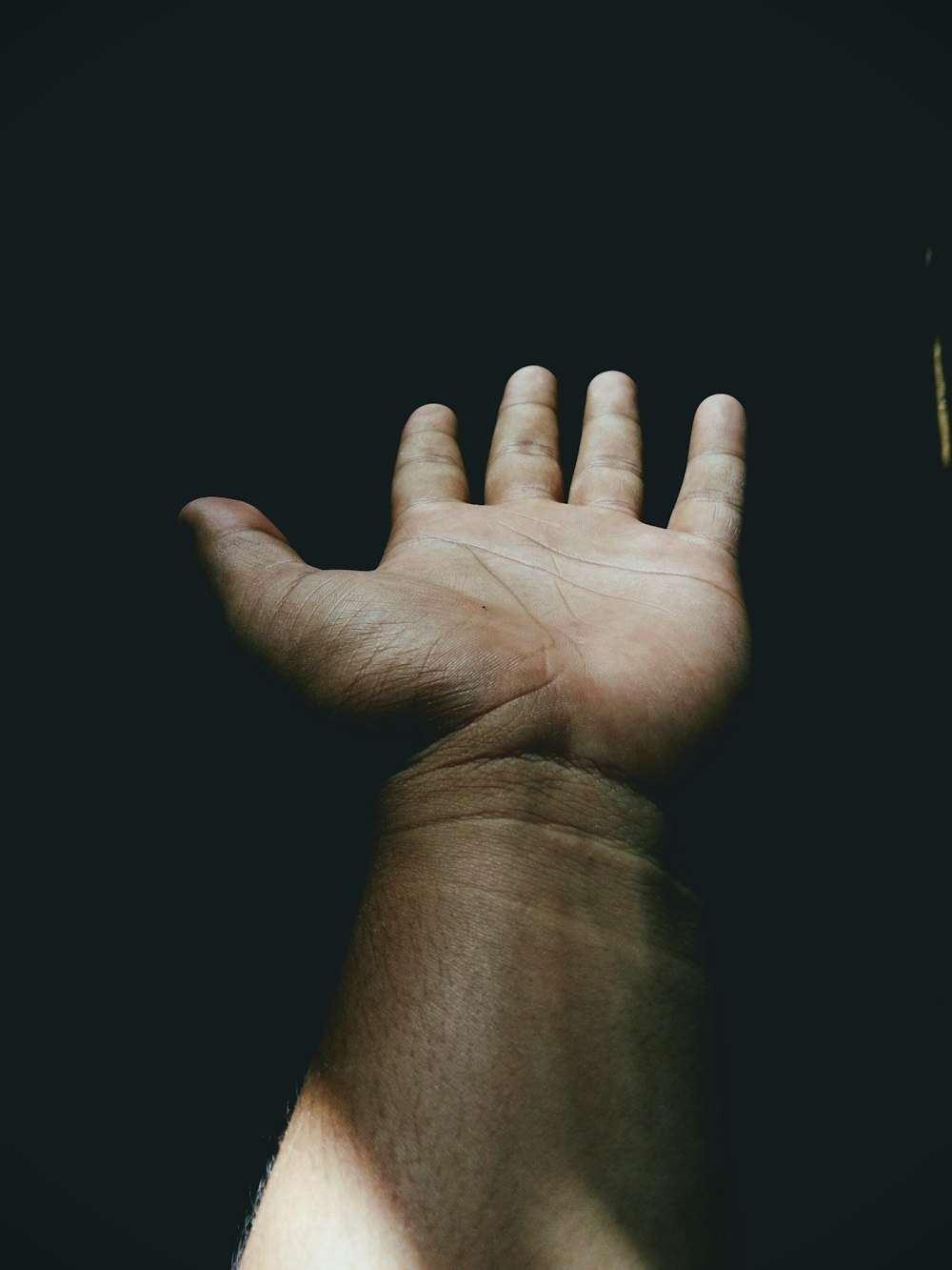 persona con la palma de la mano izquierda abierta