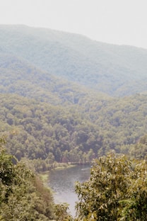 Rolling hills with patches of forest and a small river running through.