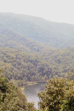 Rolling hills with patches of forest and a small river running through.